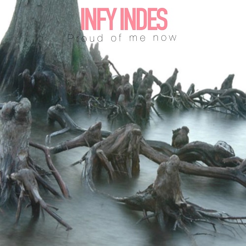 INFY INDES
